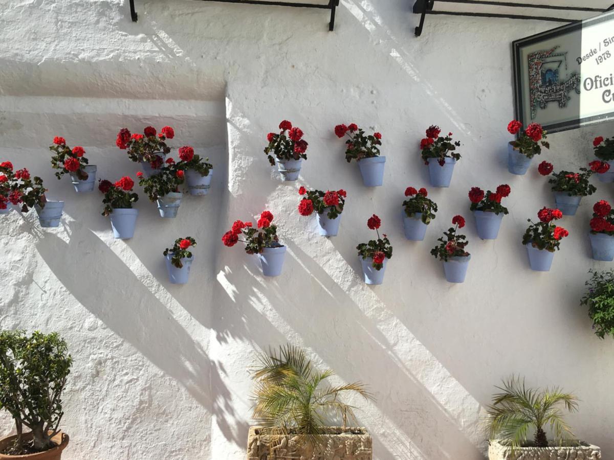 Paris Dream - Torremolinos Apartment Ngoại thất bức ảnh